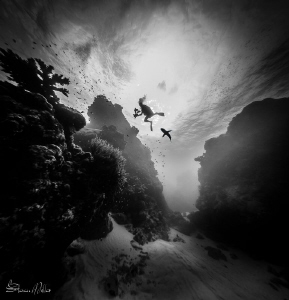 Canyon of death.  (trying to set a mood there :-) by Steven Miller 